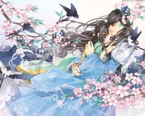 吃瓜一区二区观看